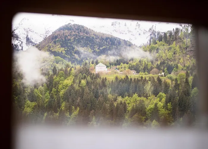 Guest house Alpedale